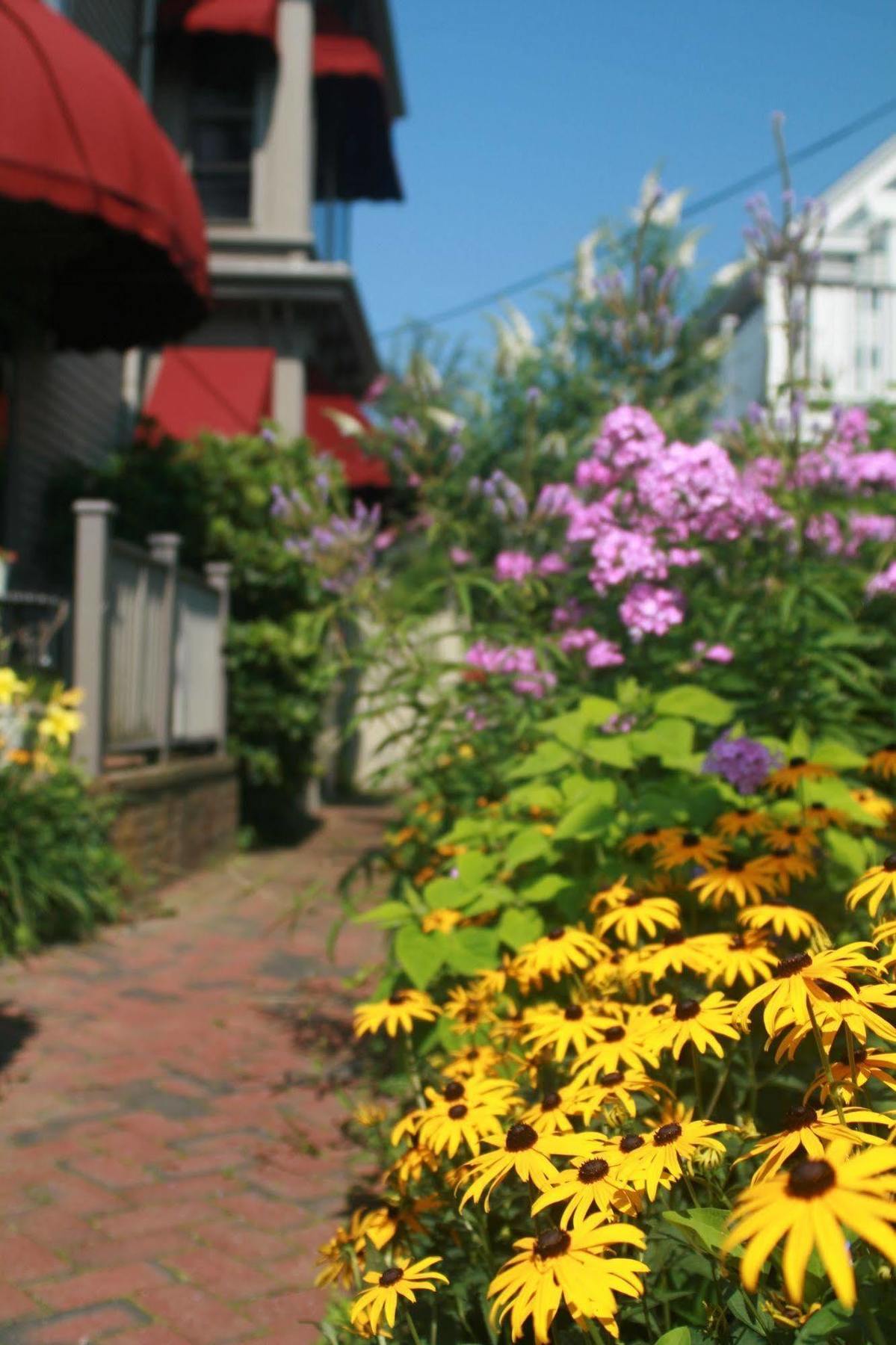 Prince Albert Guest House, Provincetown Eksteriør billede